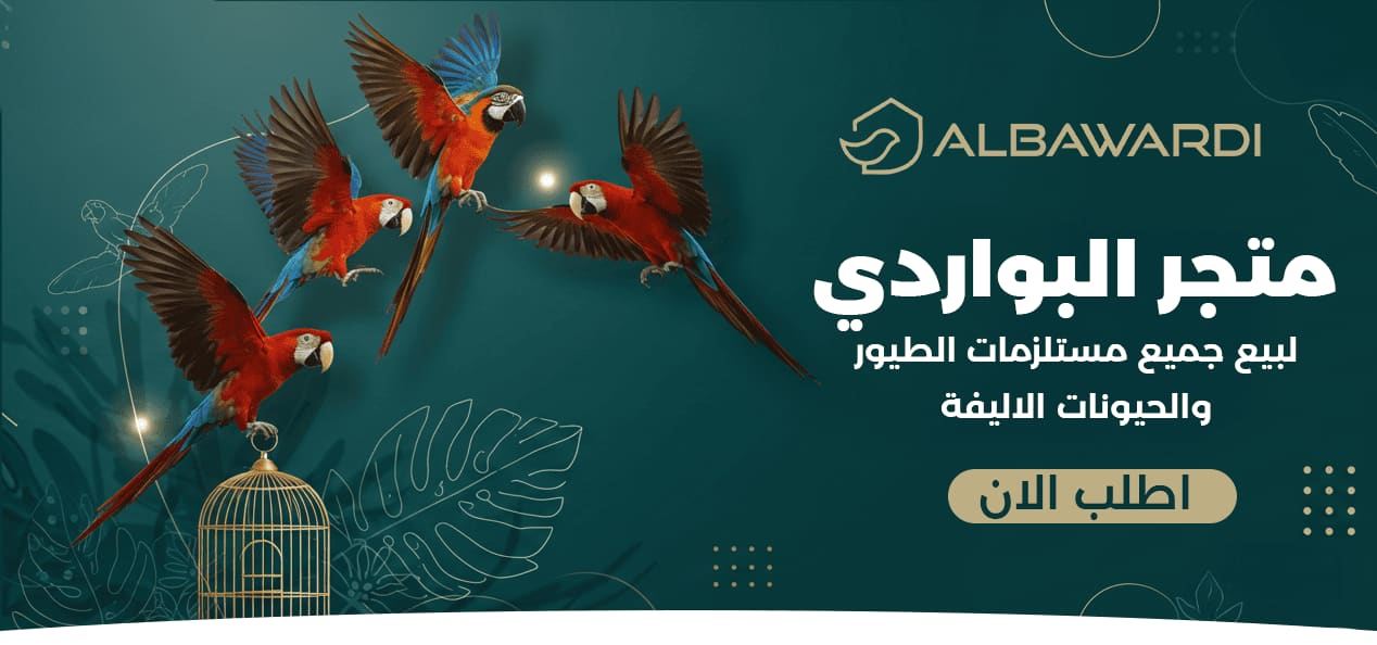 بنر 3