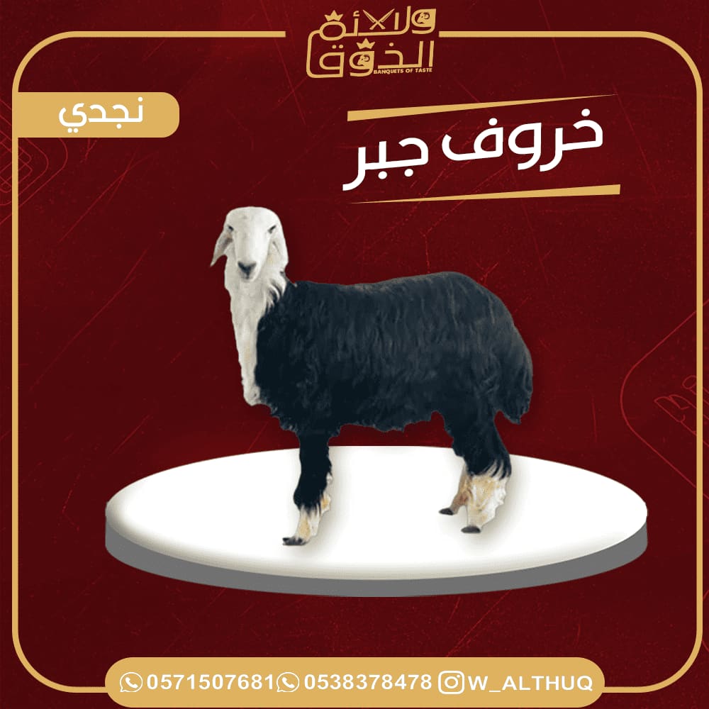 صورة منتج